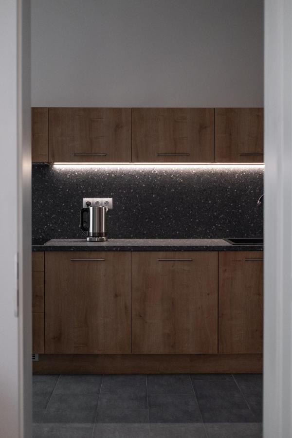Spacious In Karlin By Days Praga