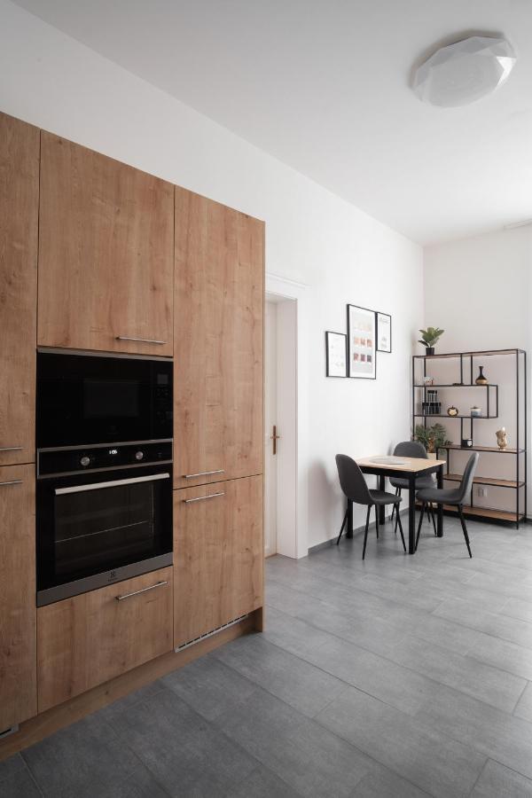 Spacious In Karlin By Days * Praga